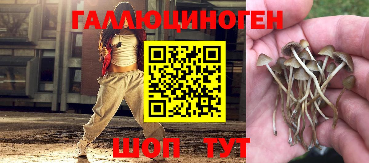 Кумертау  Галлюциногенные грибы ЛСД  Вход с VPN 
